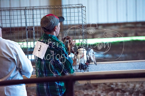 GrantCounty4H2018Fair-1452