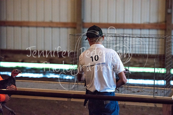 GrantCounty4H2018Fair-1457