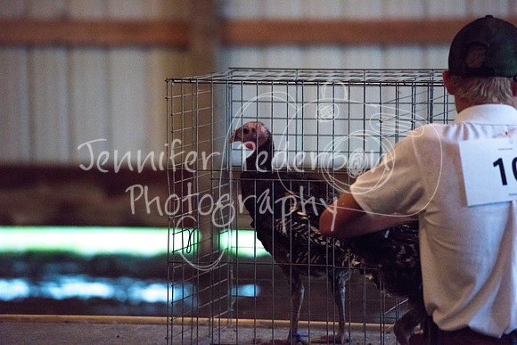 GrantCounty4H2018Fair-1459
