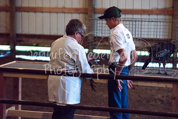 GrantCounty4H2018Fair-1467