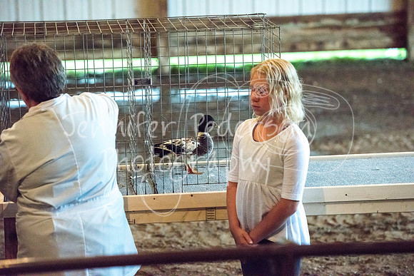 GrantCounty4H2018Fair-1477