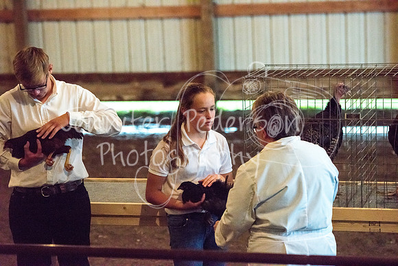 GrantCounty4H2018Fair-1480