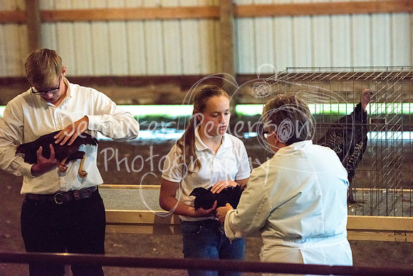 GrantCounty4H2018Fair-1481
