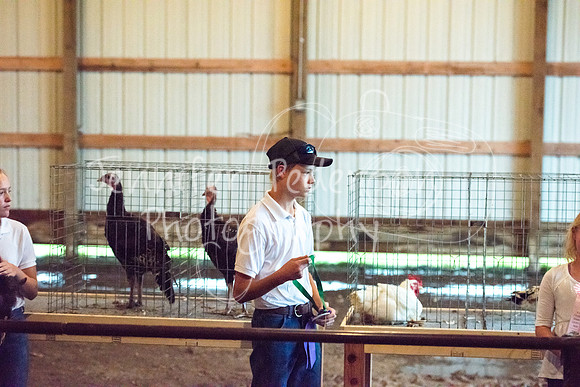 GrantCounty4H2018Fair-1495