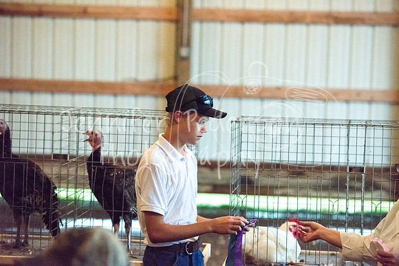 GrantCounty4H2018Fair-1494