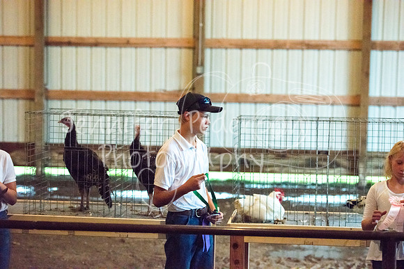GrantCounty4H2018Fair-1496