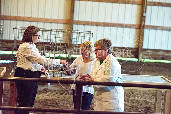 GrantCounty4H2018Fair-1515