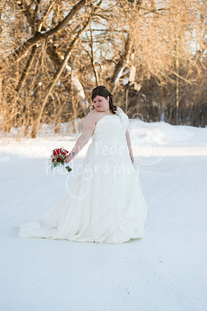 SwensonWedding020714-4288