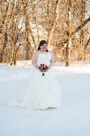 SwensonWedding020714-4280