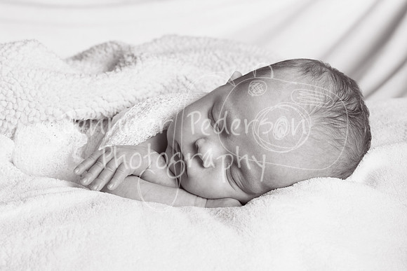 1BabyH012014-4873a