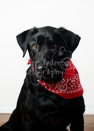 1Hudson18Mo-6868