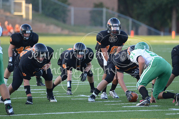 DSC_6248
