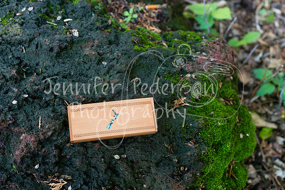 SturmWedding06062014-8692
