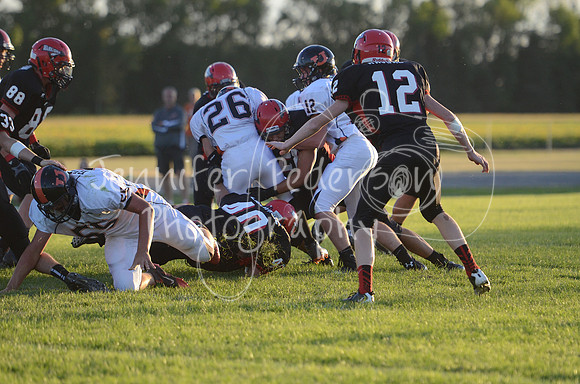 DSC_8534