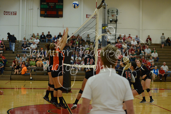 DSC_7250