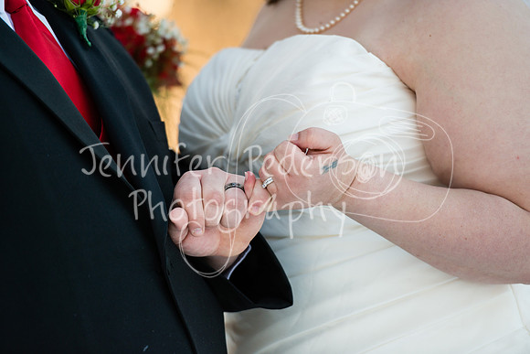 SwensonWedding020714-4244