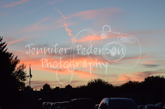 DSC_9008