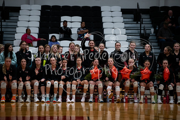20241007WHNVSLQPV-8892