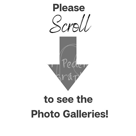 SCROLL DOWN