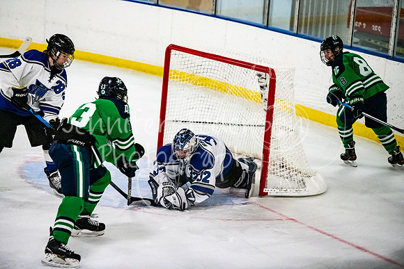 01182021MBAJVvsLitchfield-0286