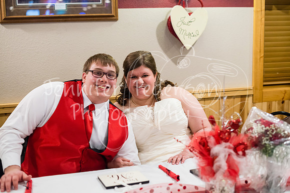 SwensonWedding020714-5039