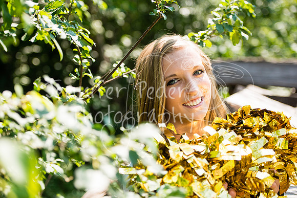 WLClassof2015-0420
